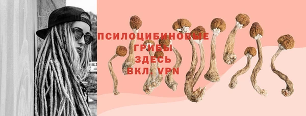 стаф Остров