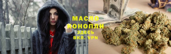 крисы Няндома