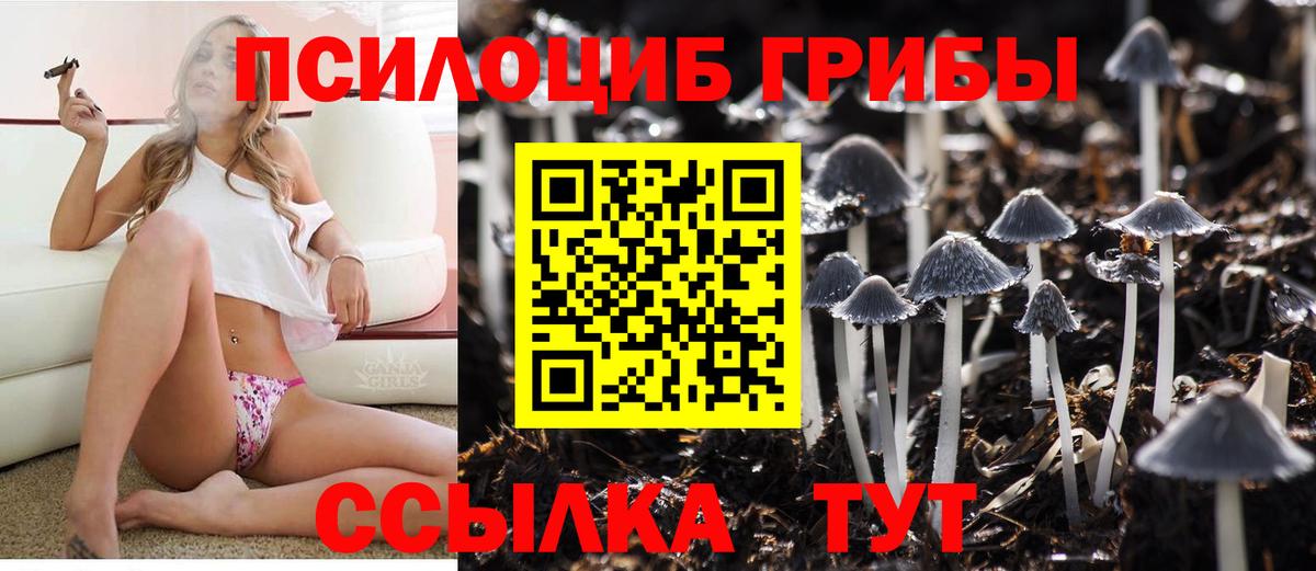 Псилоцибиновые грибы мухоморы  Псилоцибиновые грибы Psilocybine cubensis  Сарапул  Вход с VPN 